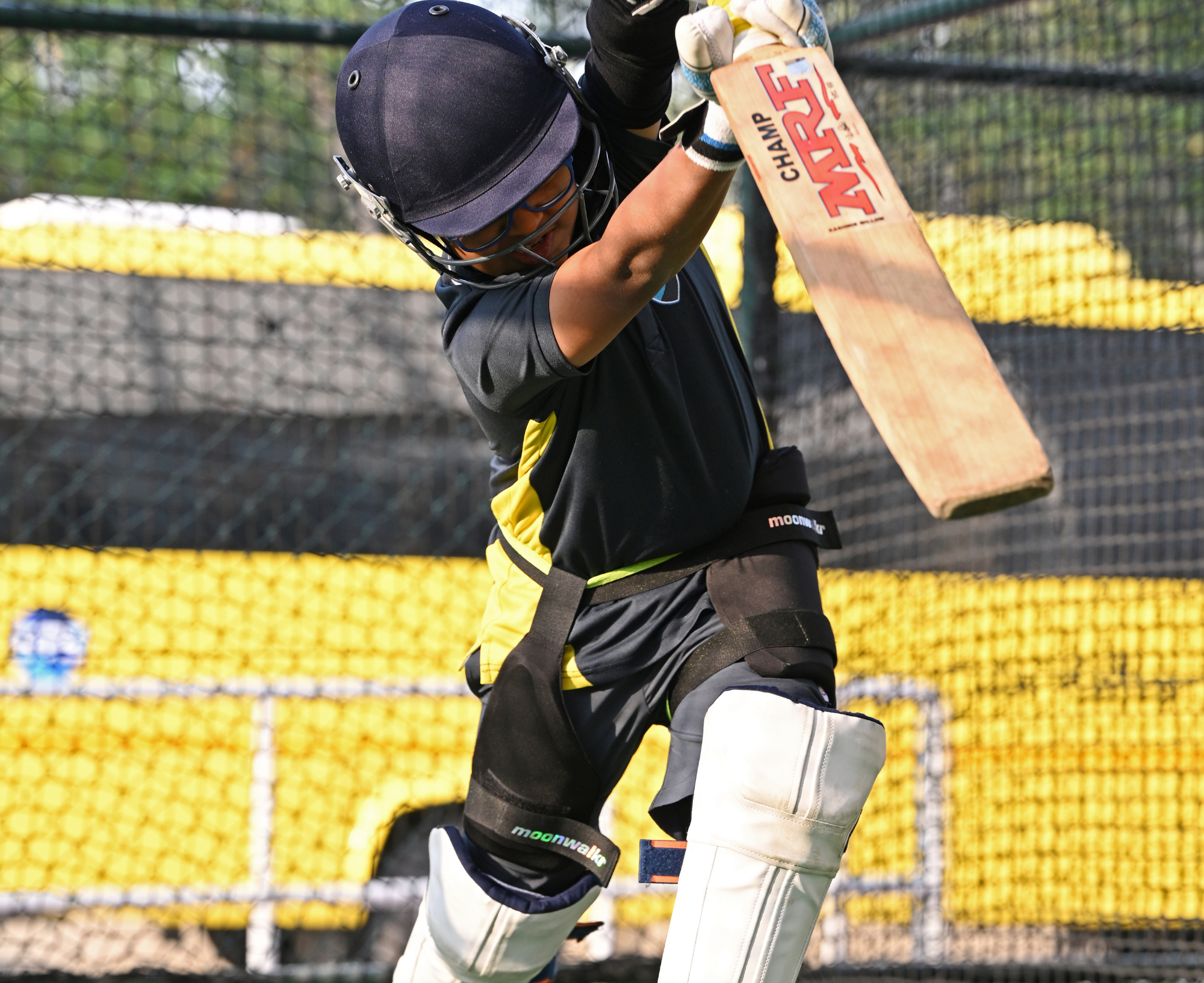 Cricket