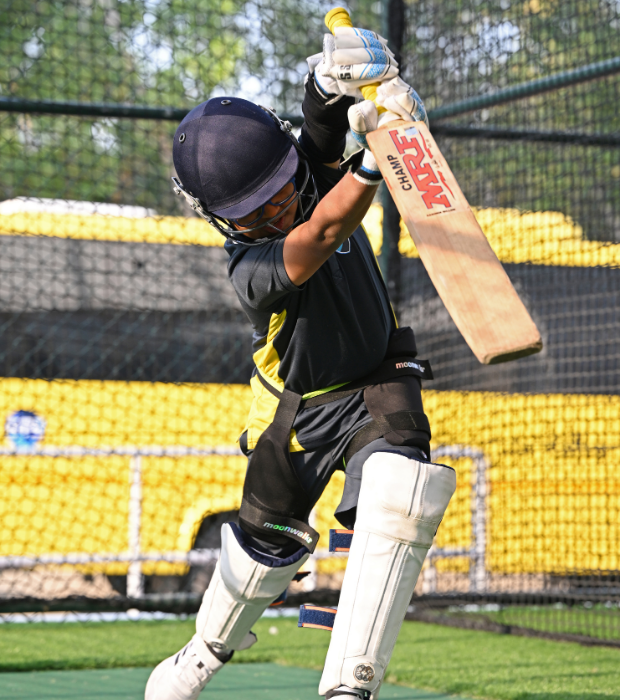 Cricket