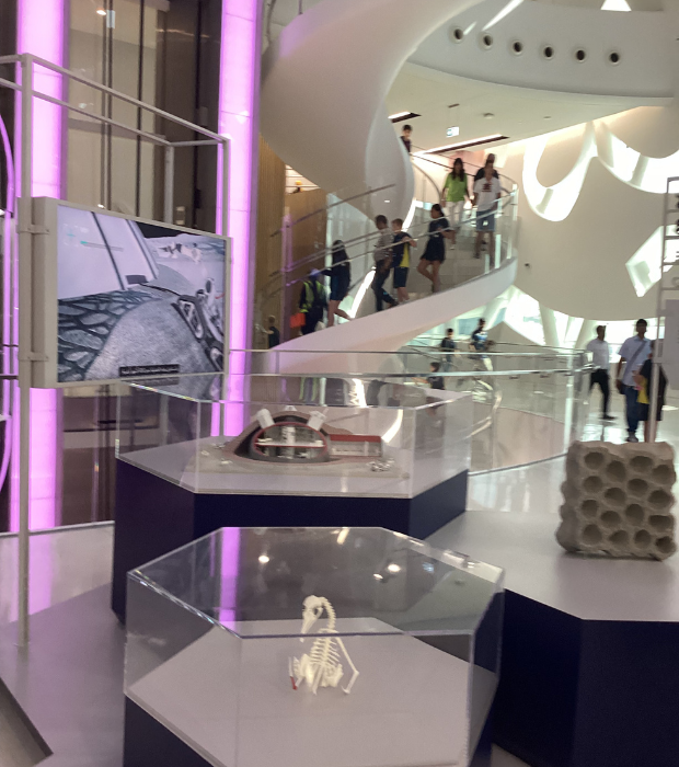 Year 6 Museum of the Future